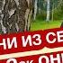 ГАРМОНИСТЫ БАЯНИСТЫ УДИВИТЕЛЬНЫЙ НАРОД Александр Бардин с новым ХИТОМ СОЛОВУШКА