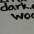 In A Dark Dark Wood
