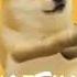 Doge Super Idol Vibing 1 H O U R