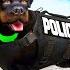 CHOP S A POLICE DOG In GTA 5