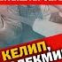 Идирис Айтбаев Эмнеге Египет Айтыш акыл үйрөткөндөр жан дүйнөнү эзген ойлор жб ж дө жаңы маек