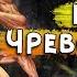 Глава IV Чревоугодие Семь Смертных Грехов Вселенная Darksiders