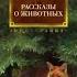 Эрнест Сетон Томпсон Рассказы о животных