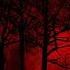 Rok Nardin Blood Moon Epic Dark Dramatic Music