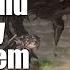 The Salt And Sanctuary Postmortem