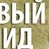 Мухаммад аль Мукит Мой арабский язык Красивый нашид с переводом