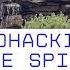 Biohacking The Spine Orthobiologics With Annette Ambach BIOS KOL Sessions