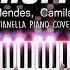 Señorita Shawn Mendes Camila Cabello Piano Cover By Pianella Piano