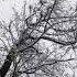Nuvole Bianche Ludovico Einaudi Snow Fall 4K