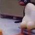 Pingu Dancing To Tragic Transistor Hypmic