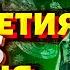 Ингушетия и Чечня начали разборки Кадыровцы против Кремля Жесткая схватка в Москве