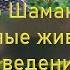 Всё о Шаманизме Тотемные Животные Полная энциклопедия Введение Шаман Сергей Попроцкий