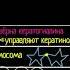 Что такое кожа Строение эпидермиса видео 2 Анатомия человека Биология