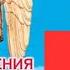 Откровения Ангелов Хранителей Начало 1 Любовь Панова Рай и Ад Читает Таль Ман