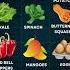 Top 12 Vitamin A Rich Foods For Better Vision Immunity Vitamin A Rich Foods Shorts Nutrition