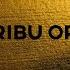 Tribu Oro Burnt Orange