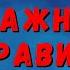 Жидкая резина для авто Dempinox или Plasti Dip 5 важных правил при покраска авто жидкой резиной