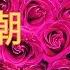 ASMR 电台 颅内高潮 重度催眠 放松 老司机