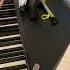 20250505 Grade 8 A15 Sonata In D By Scarlatti