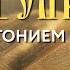 Толкование Евангелия с митрополитом Антонием Паканичем Среда 28 мая 2025 года