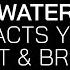 Best Water To Drink Impacts Of Hydrogen Water On Your Gut Brain With Dr Paul Barattiero