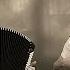 MARINA FRENCH ACCORDION MUSIC Claude Thomain Accordeon Muziek Acordeon Frances Akkordeon