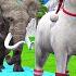 Paint Animals Cow Gorilla Elephant Lion Tiger Dinosaur Fountain Crossing Transformation Cartoon