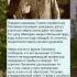 Закрытая история
