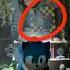 You Missed This Hilarious Mistake In Sonic 3 Shorts Sonic