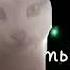 дует дует ветерок ты мой белый мотылёк