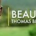 Beautiful People Thomas Bergersen