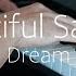 Dream A Beautiful Sad Song Piano Cover