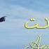 Sama Shoufani سما شوفاني Ana W Enta انا وانت Official Lyric Video