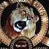 Metro Goldwyn Mayer Leo The Lion Roar Sound Effect