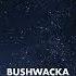 PREMIERE Bushwacka Heaven On Earth Main Mix Rekids