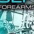 ARMS FOREARMS SUPERSET Workout