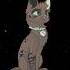 этот парень был обычным Alightmotion Cat Animation