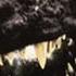 Godzilla Mothra And King Ghidorah Giant Monsters All Out Attack Main Title EWQL