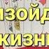 Цыганский расклад на ближайшие события в жизни Короля Притензии и обиды Чувства и эмоции