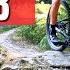 Trailcheck Flowtrail Bad Orb Alpenfeeling Mitten In Hessen Die Besten Trails Für Biker