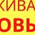 Без иллюзий Почему вашу заботу никто не ценит и не заботится о вас в ответ