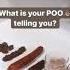 7 TYPES OF POO WHAT IS YOUR POO TELLING YOU