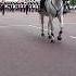 Royal Marines Massed Bands Beating Retreat 2018