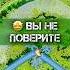 ВЫ НЕ ПОВЕРИТЕ ГАДАНИЕ НА ВОСКЕ гадание гаданиенавоске отливкавоском