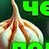 Положите чеснок под подушку на 3 дня и увидьте чудеса Буддийские учения
