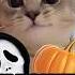 Cat MEMES ULTIMATE HALLOWEEN ROADTRIP FULL MOVIE