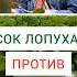 СОК ЛОПУХА ПРОТИВ КИСТ И НЕ ТОЛЬКО