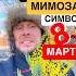 Почему мимозу в СССР считали символом 8 марта история 8марта