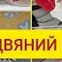 Аврора огляд різдвяного та акційного посуду Великі знижки на посуд Люмінарк Luminarc