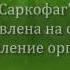 Медитация САРКОФАГ